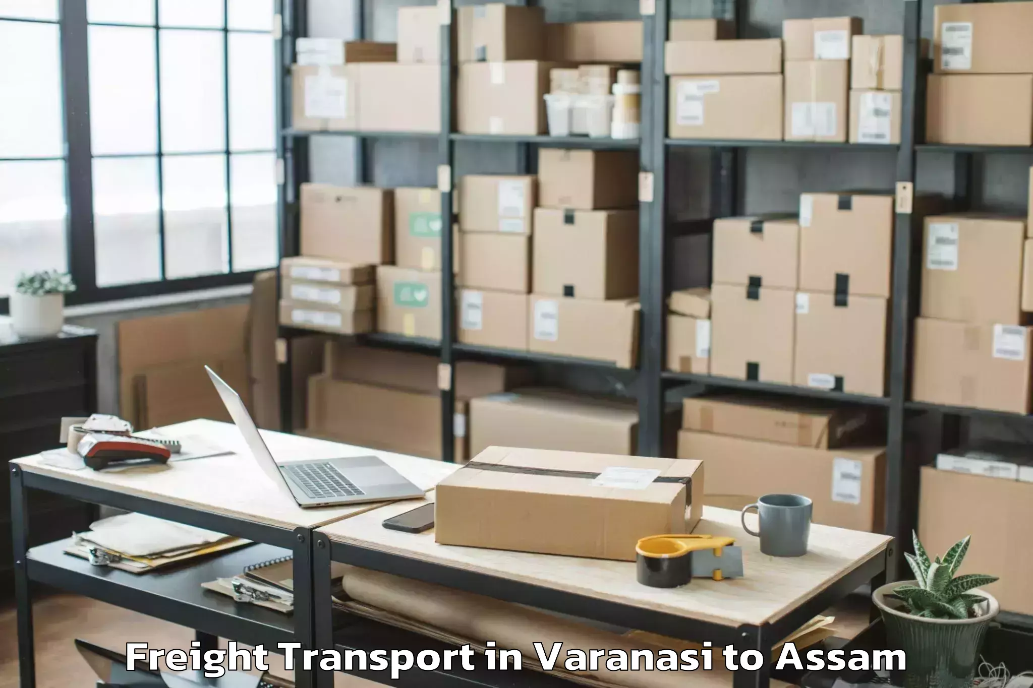 Top Varanasi to Silapathar Freight Transport Available